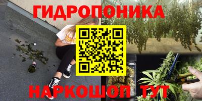 стаф Рыбинск